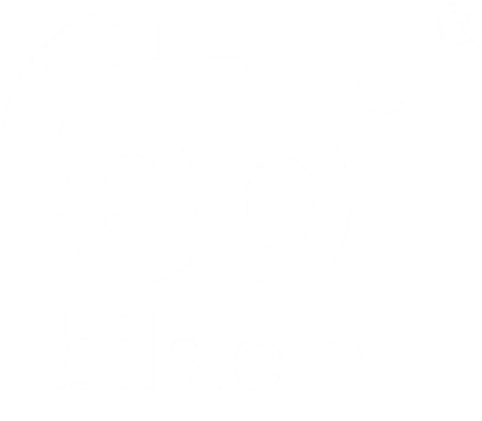 febi bilstein